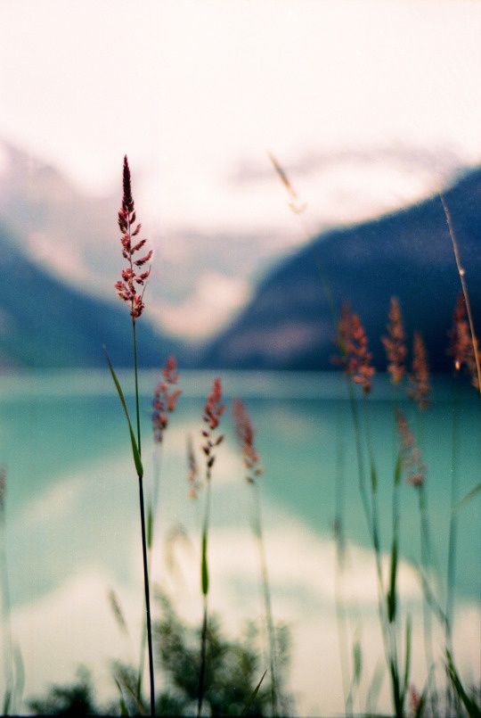 Lago Montaña